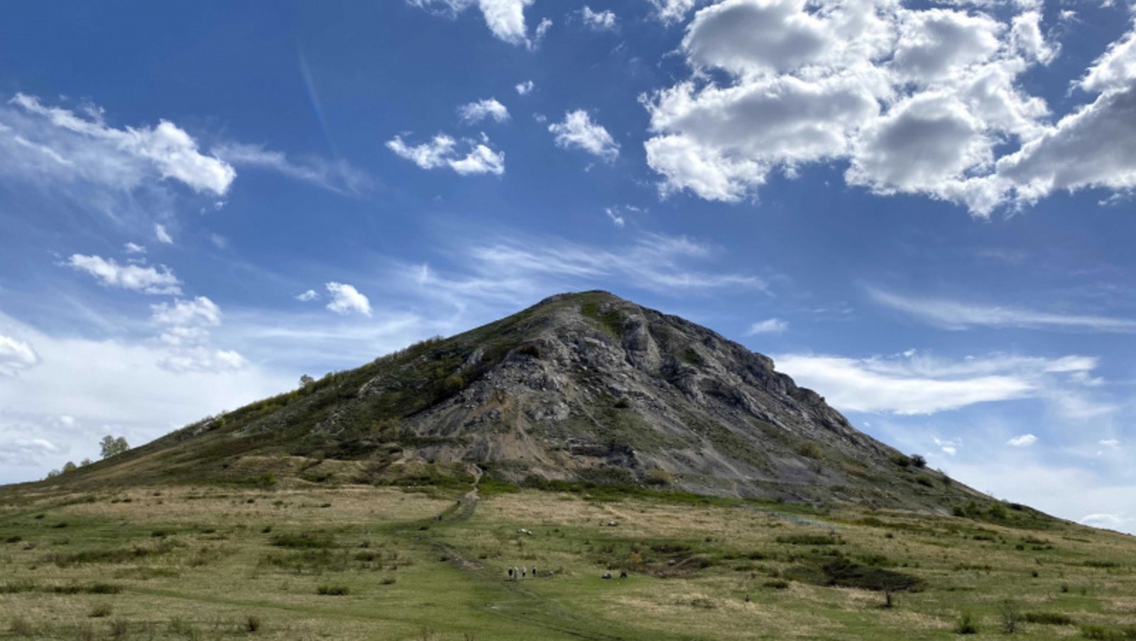 Елены Колоколовой.