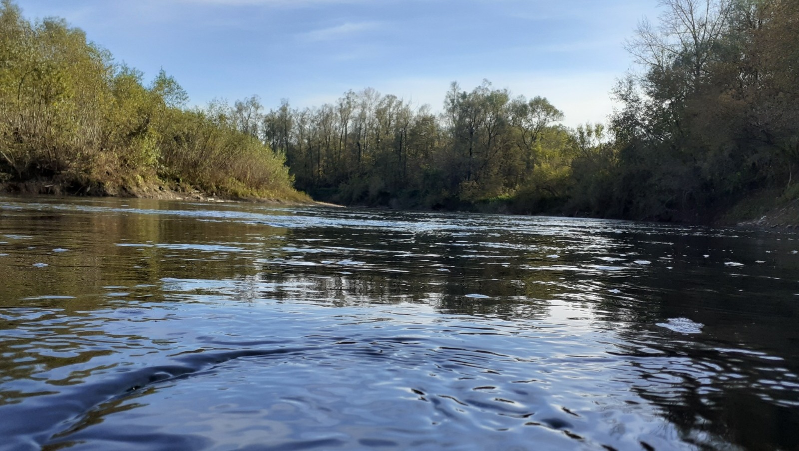 Владимира Шакиева.