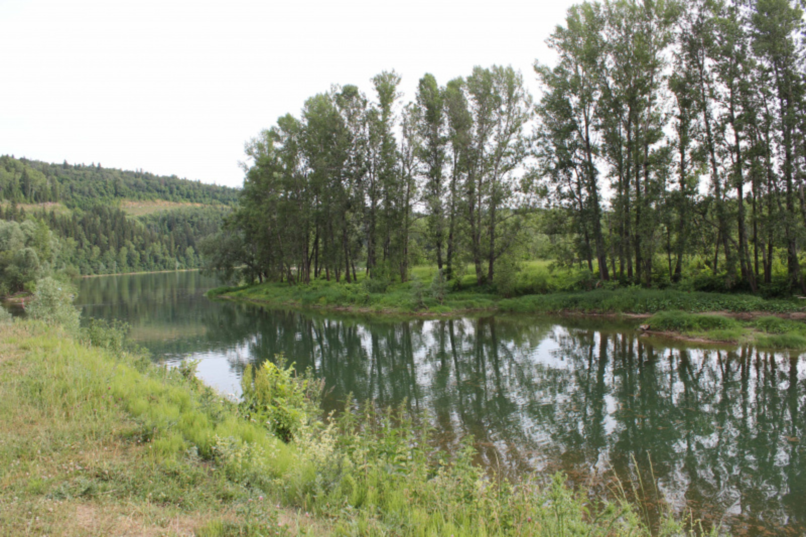 Фото автора.