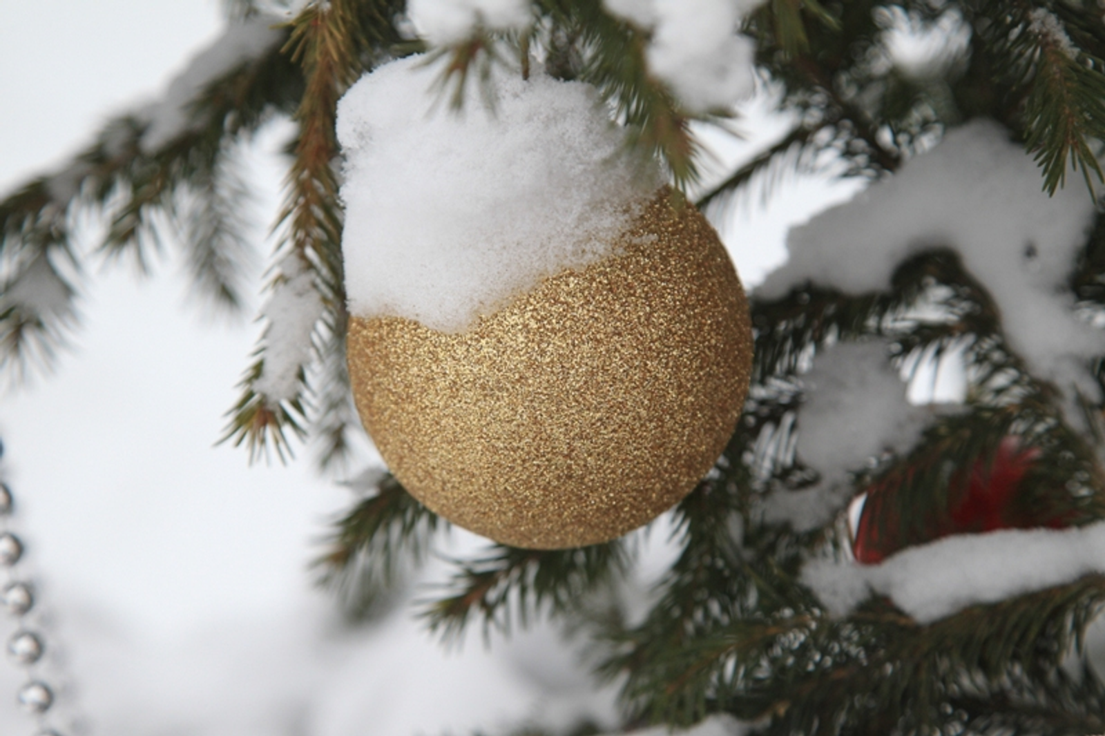 Фото Олега Яровикова.