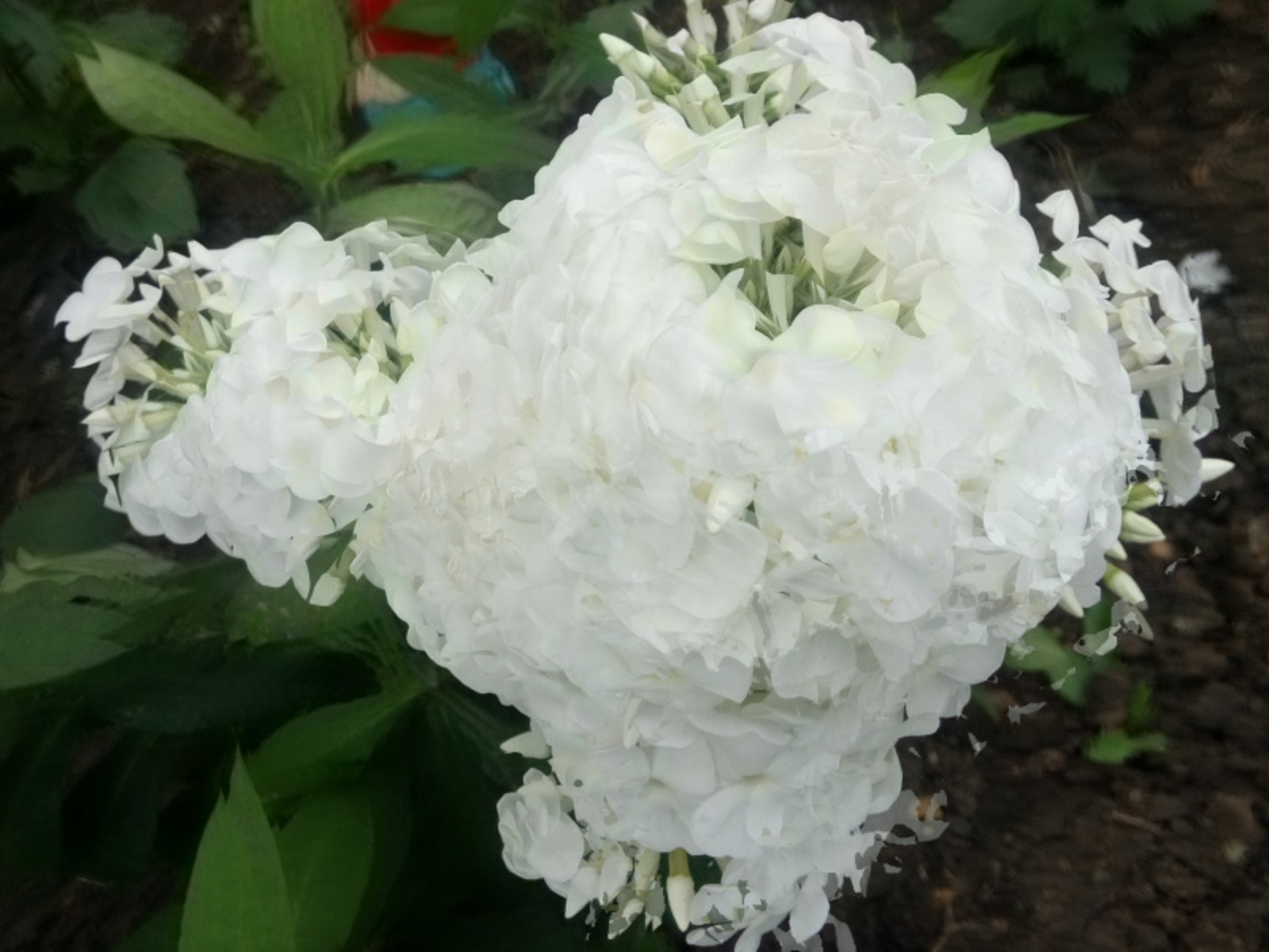 Фото Васили Саитовой.