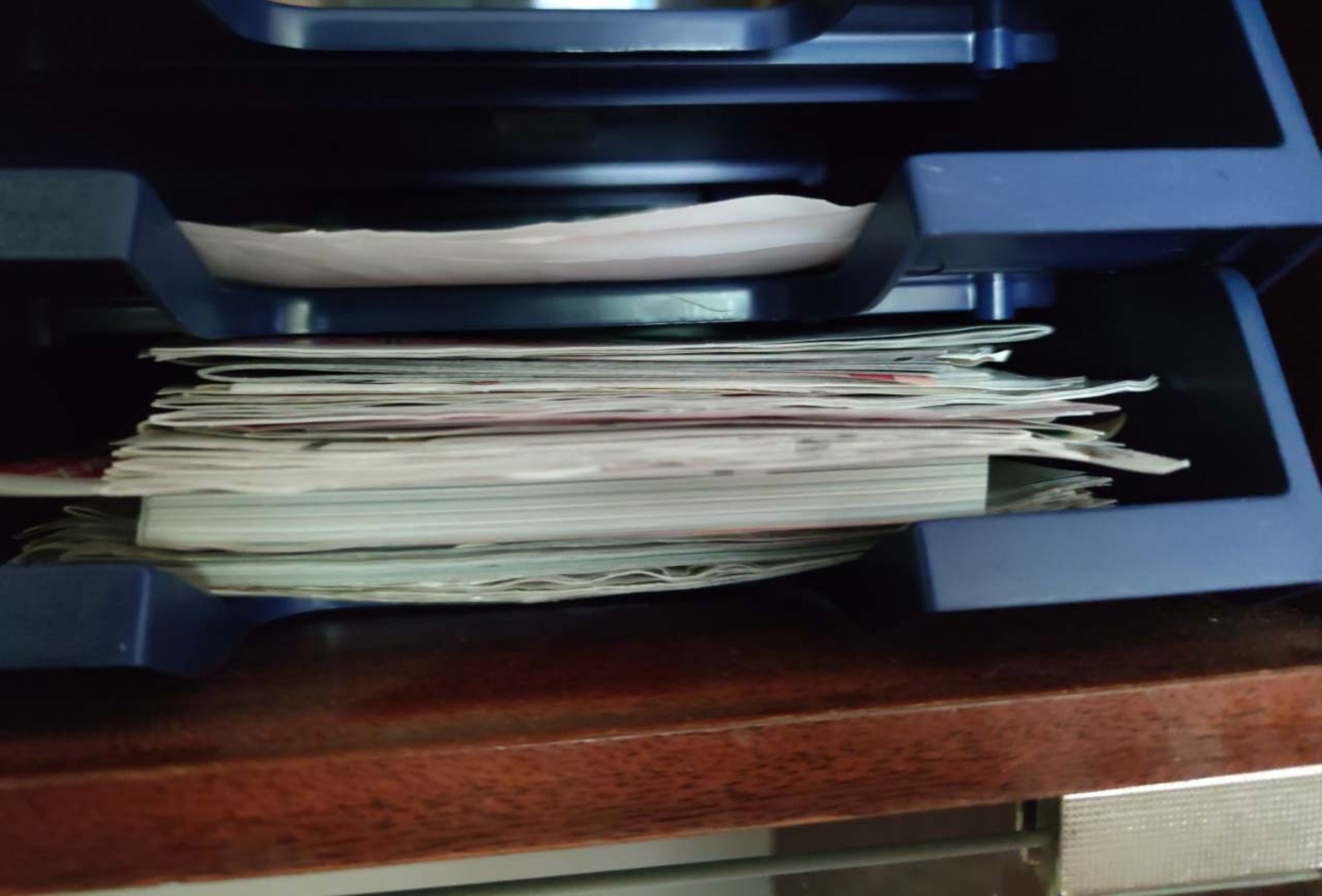 Дарьи Святохиной.