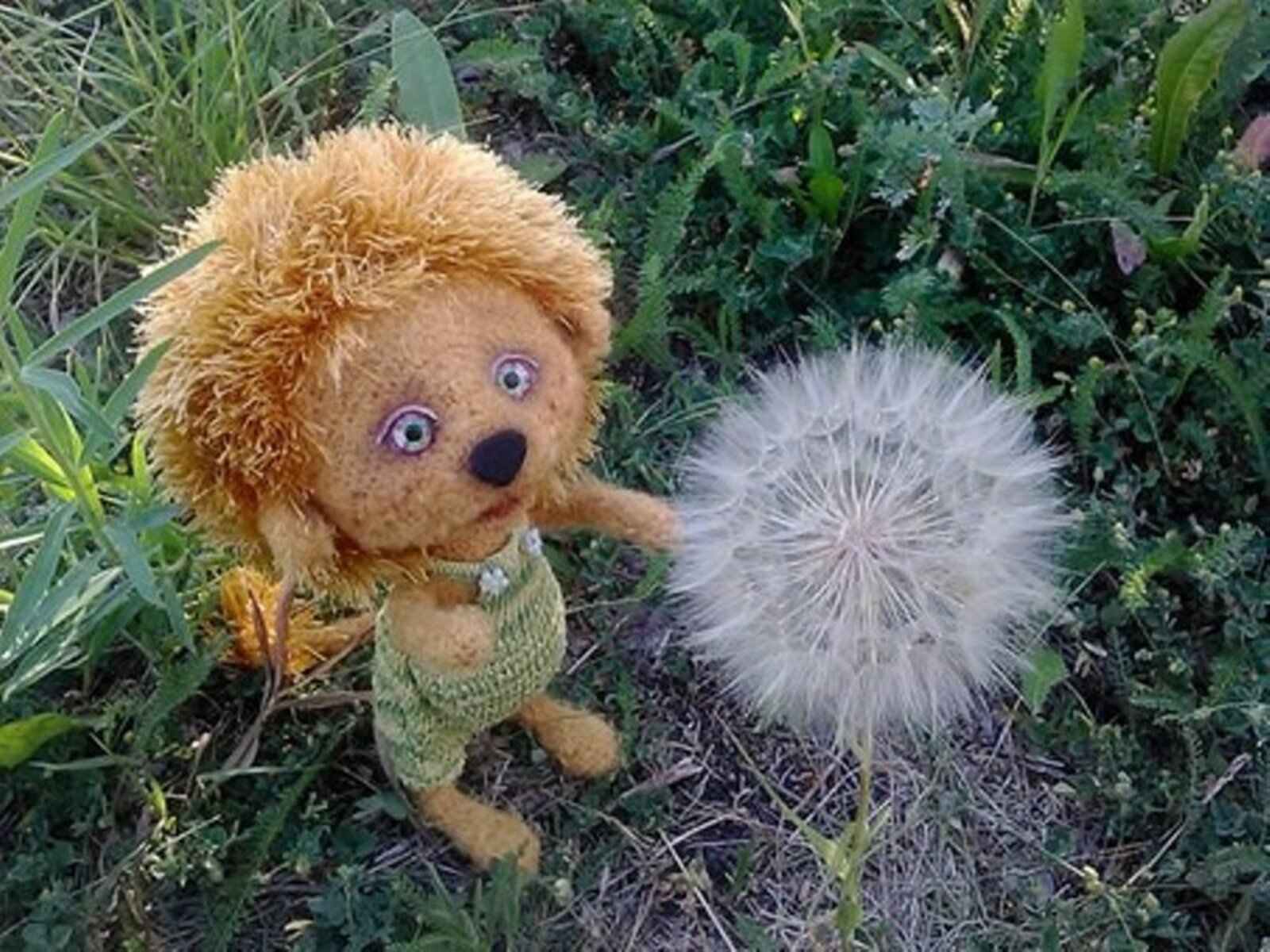 Фото предоставлено Альбиной Давлетовой.