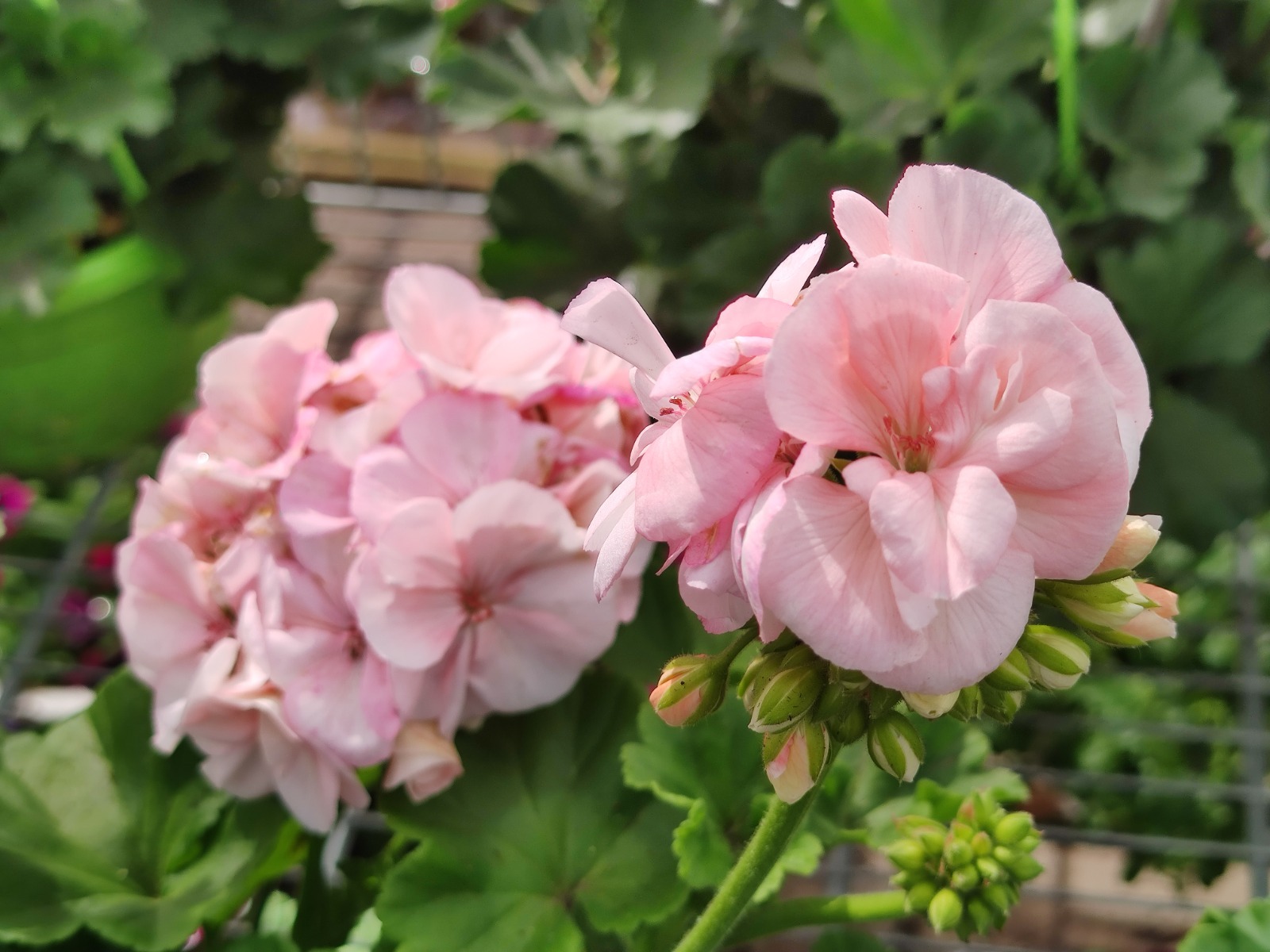 Дарьи Святохиной.