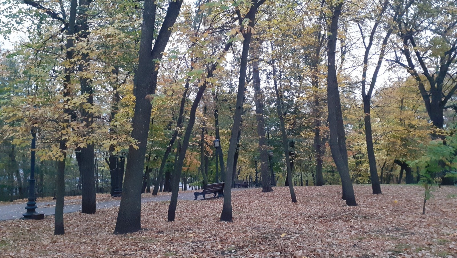 Владимира Шакиева.