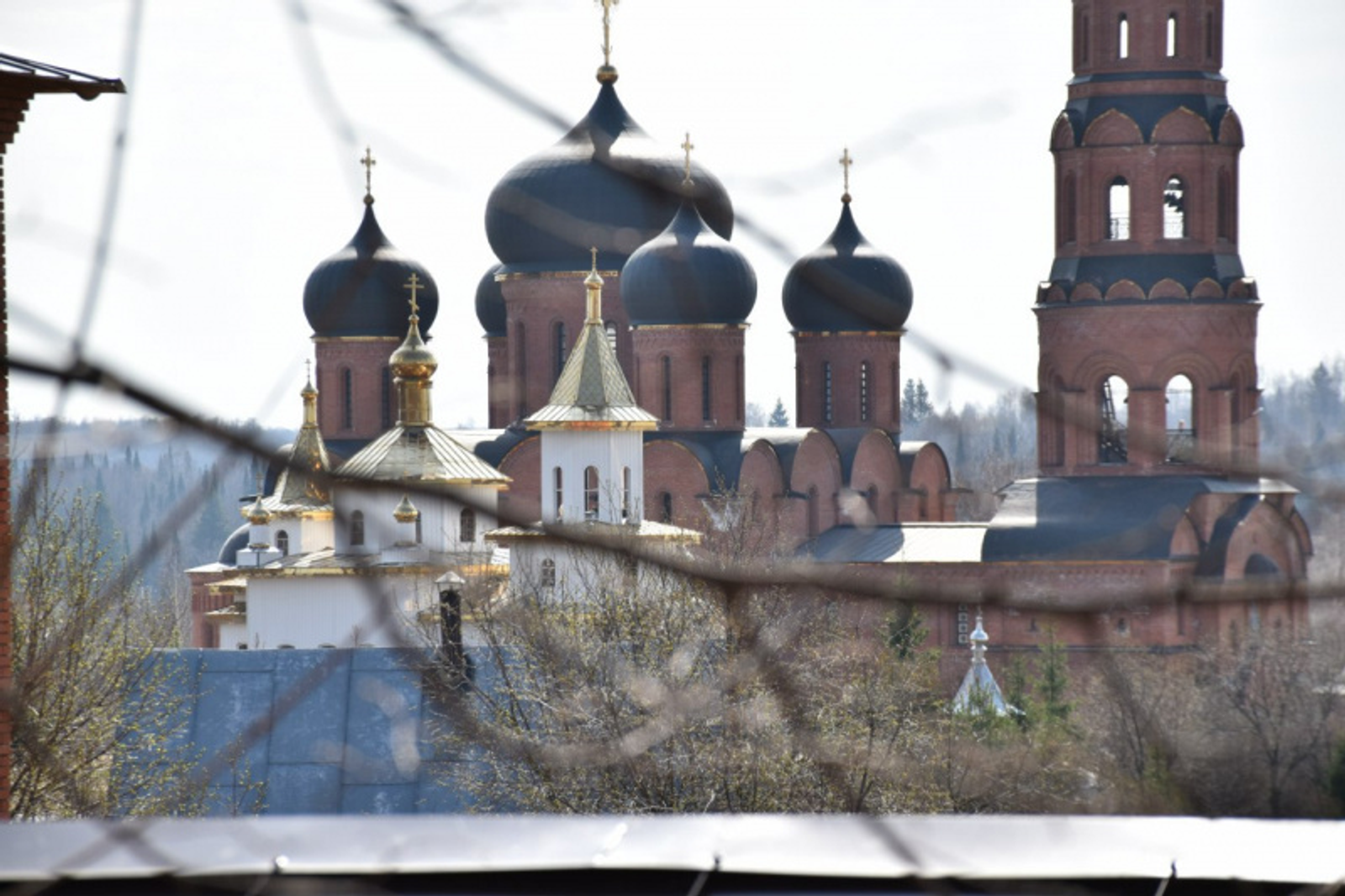 Фото Елены Колоколовой.
