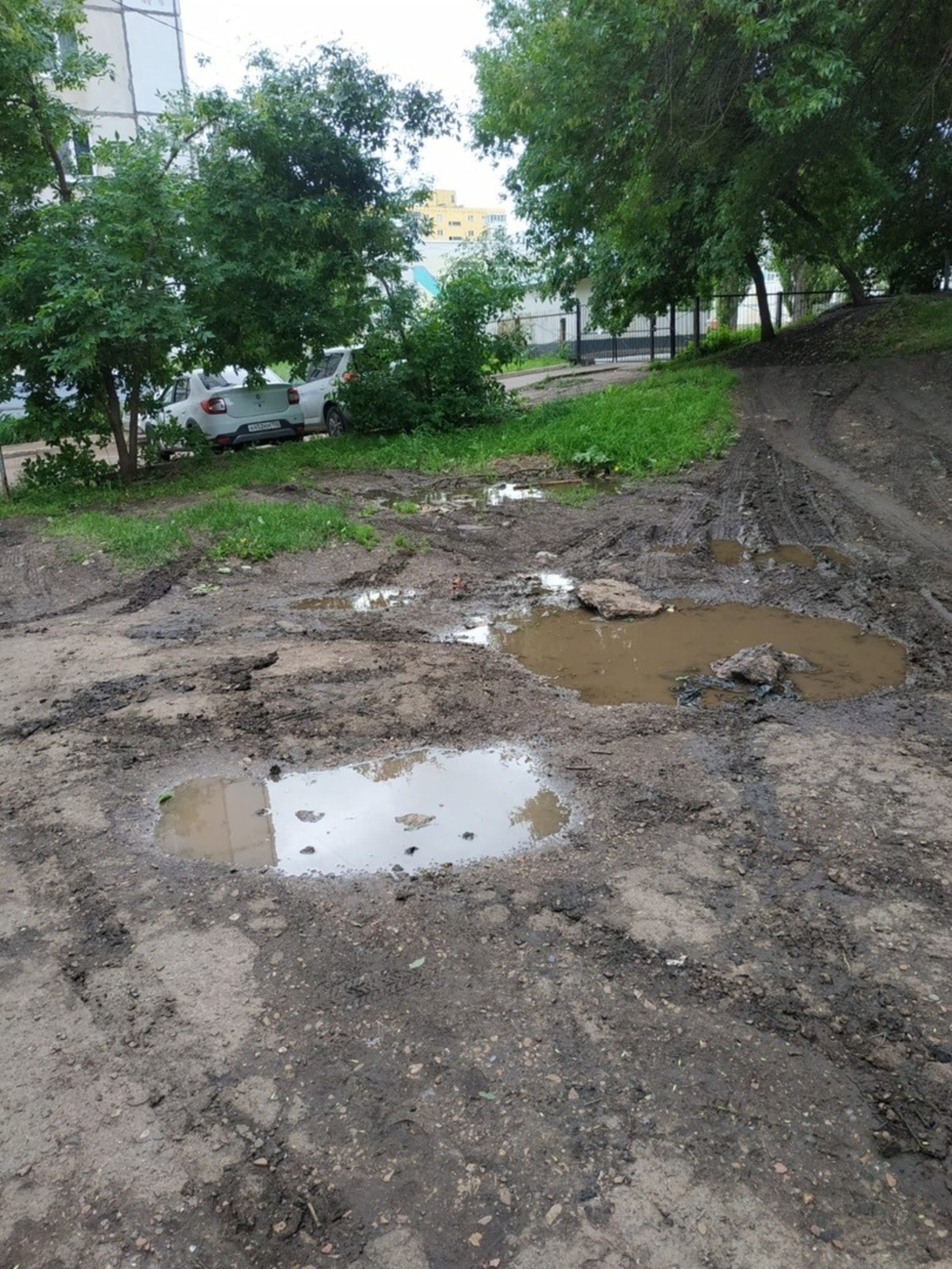предоставлено Дарьей Сальниковой.