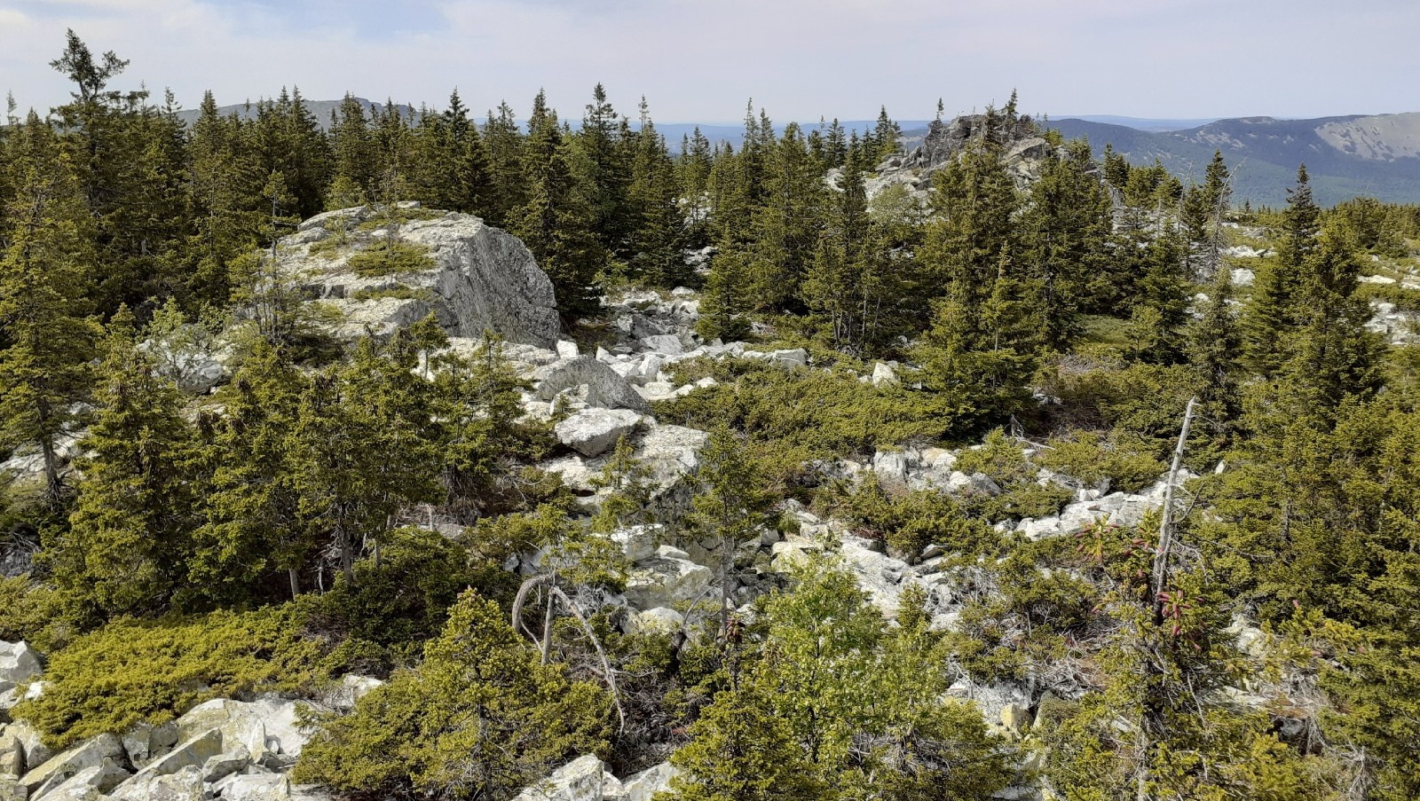 Владимира Шакиева.