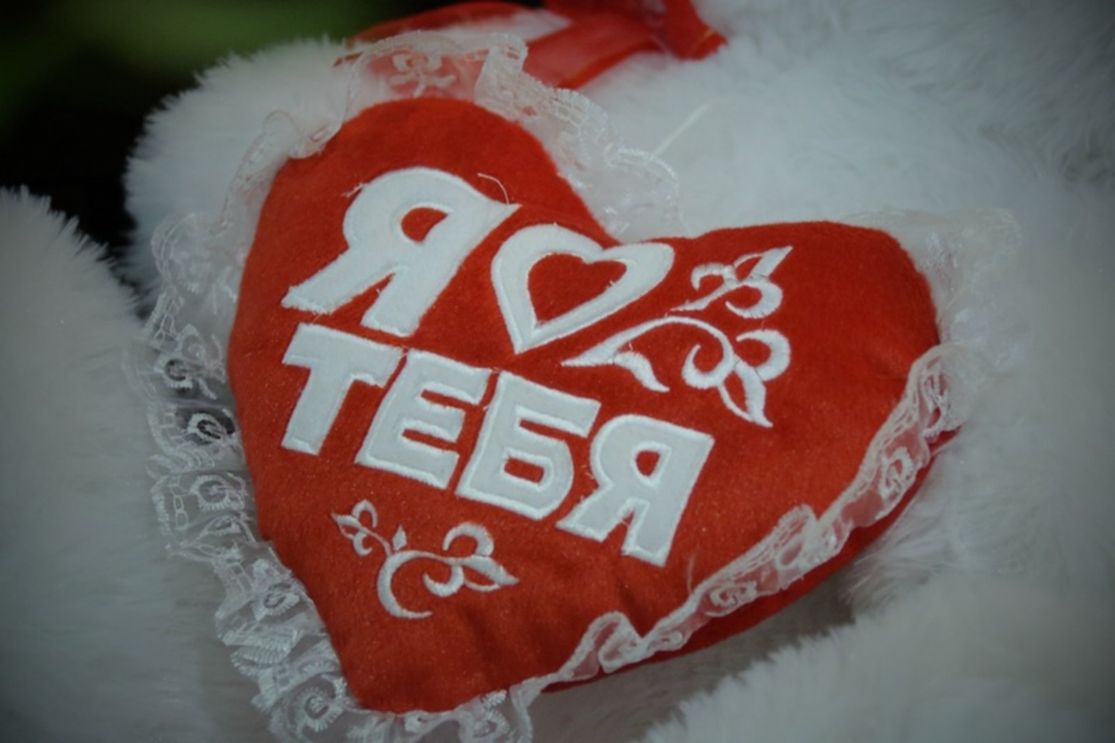 Фото Андрея Старостина.