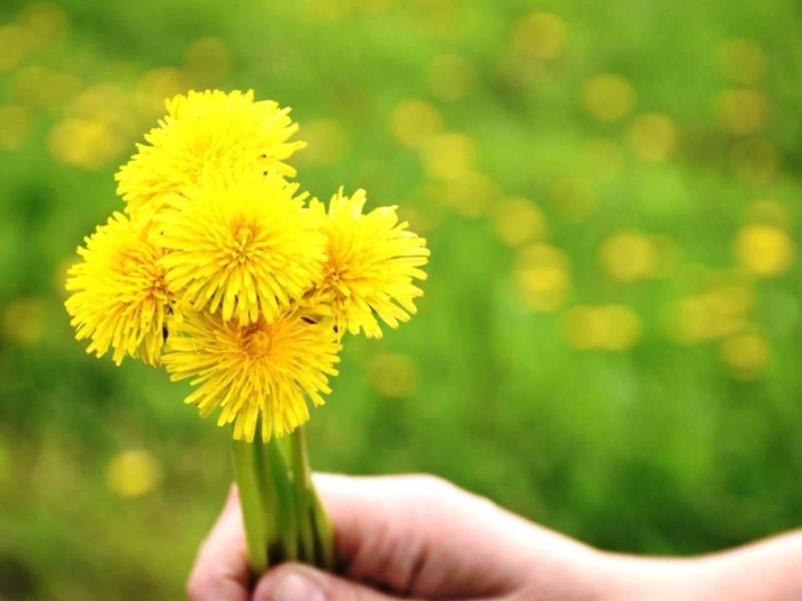 Фото Елены Колоколовой.