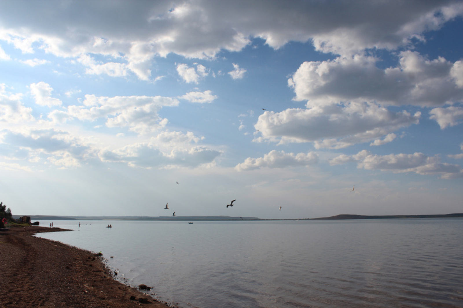 Фото автора.