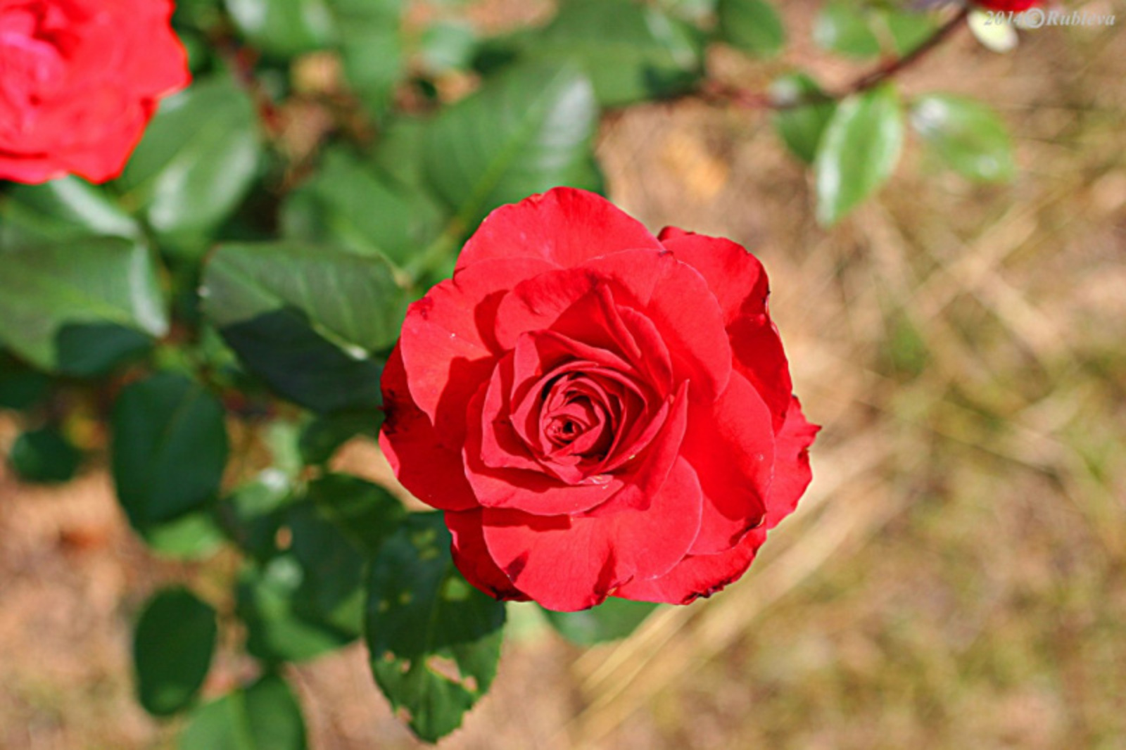 Фото предоставлено автором.