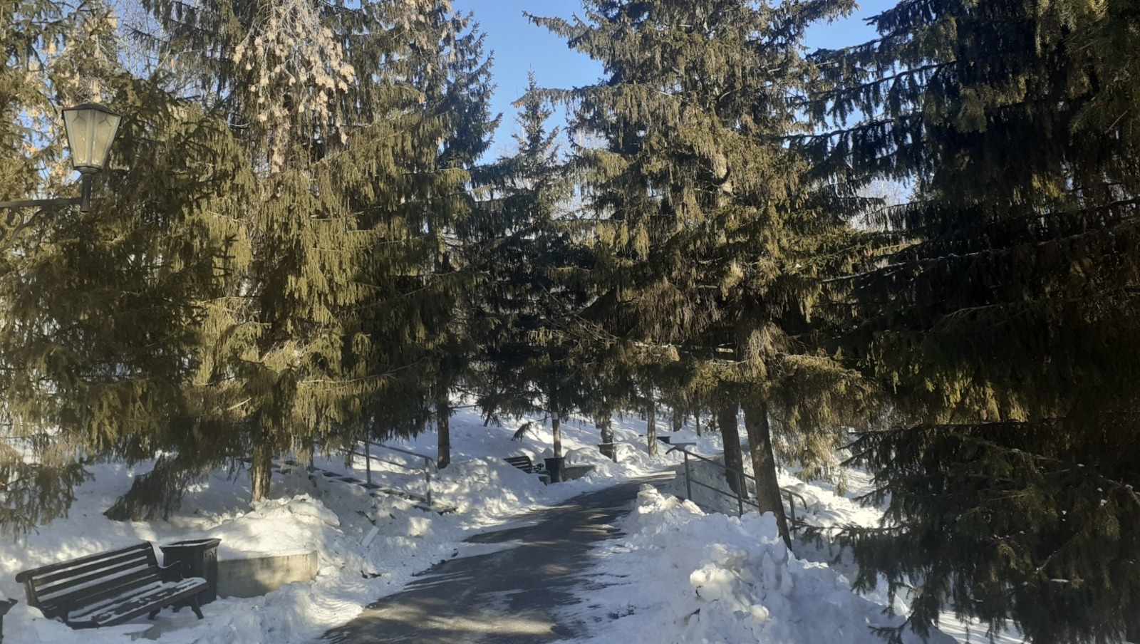 Владимира Шакиева.