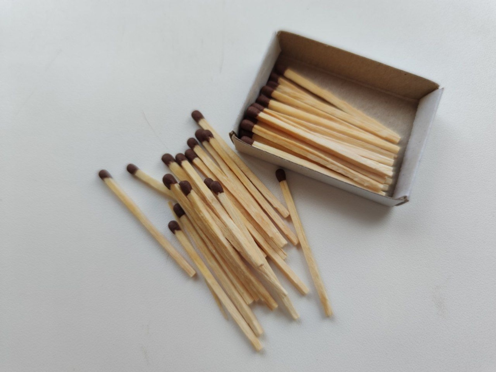 Дарьи Святохиной.