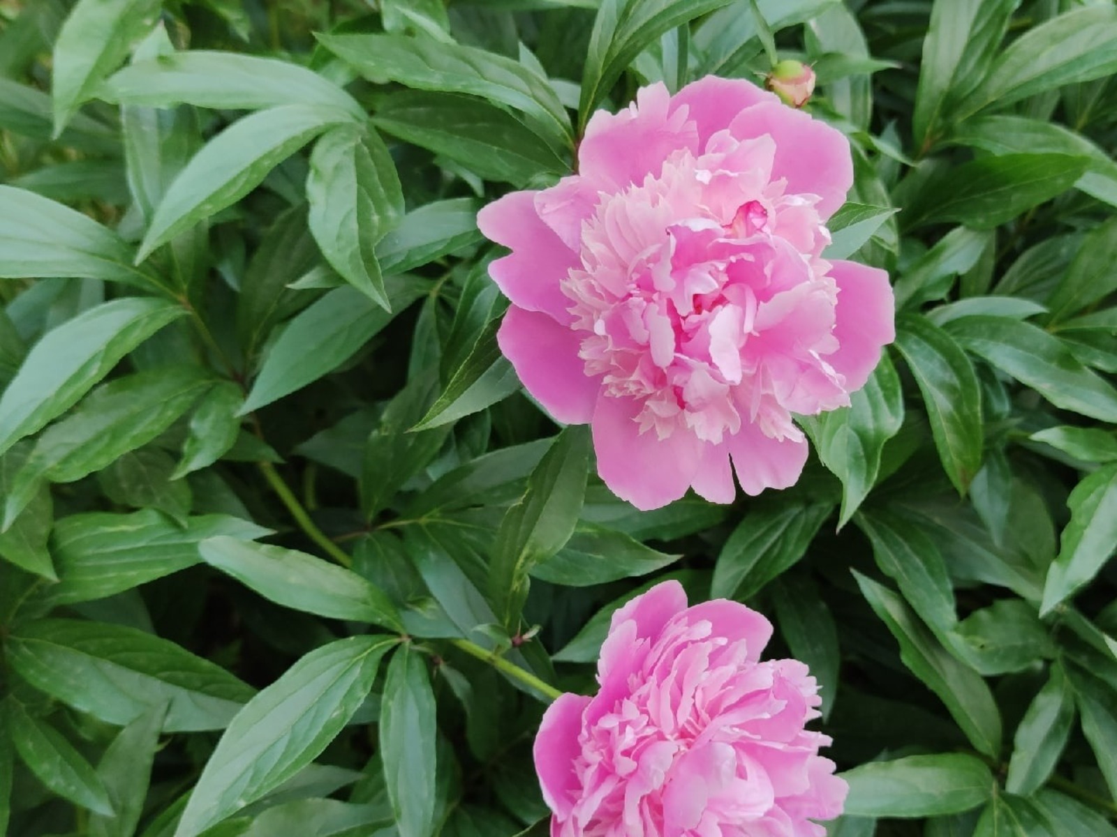 Дарьи Святохиной.