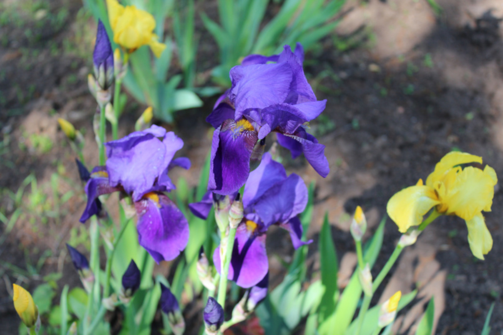 Фото автора.