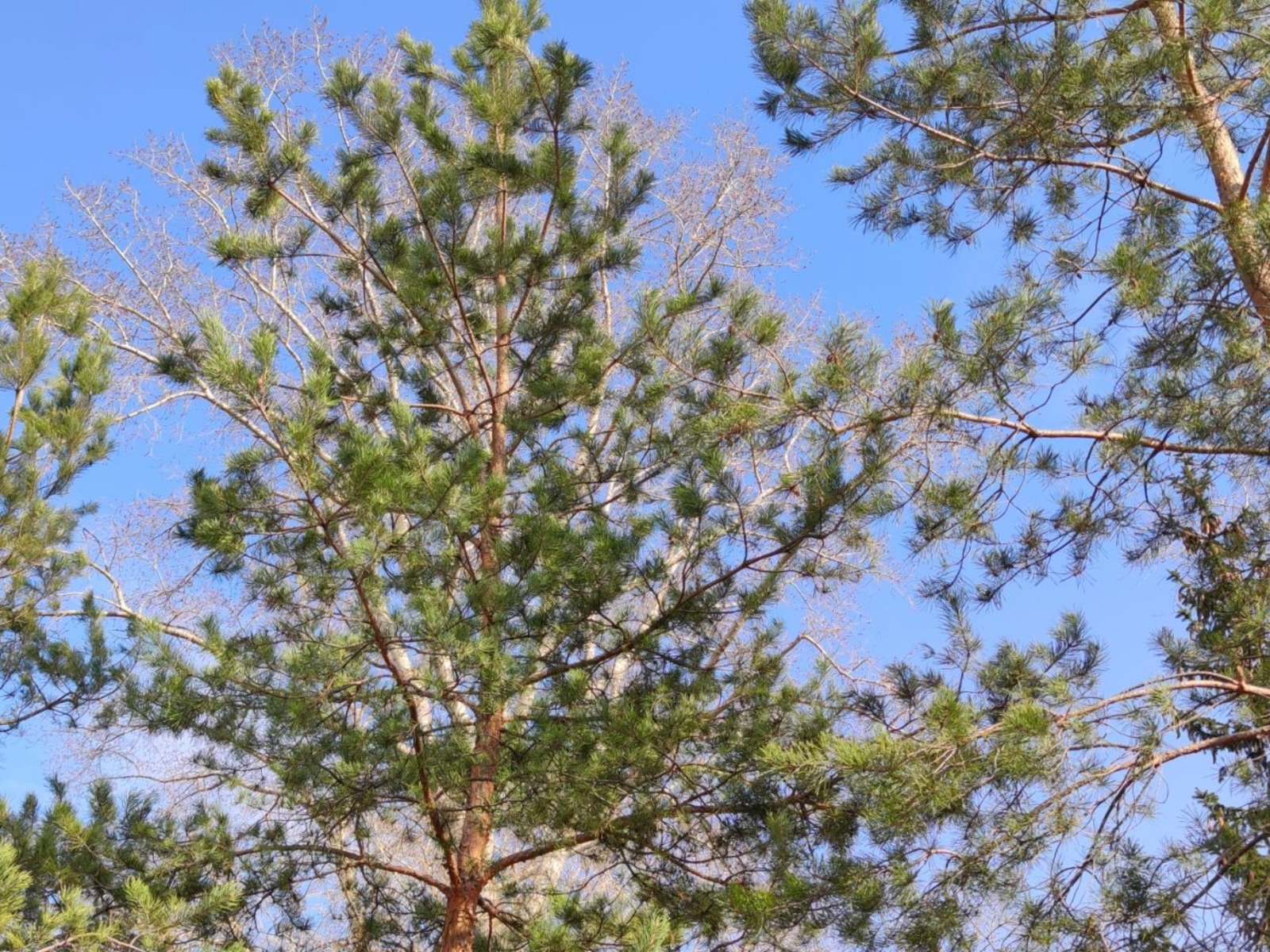 Дарьи Святохиной.