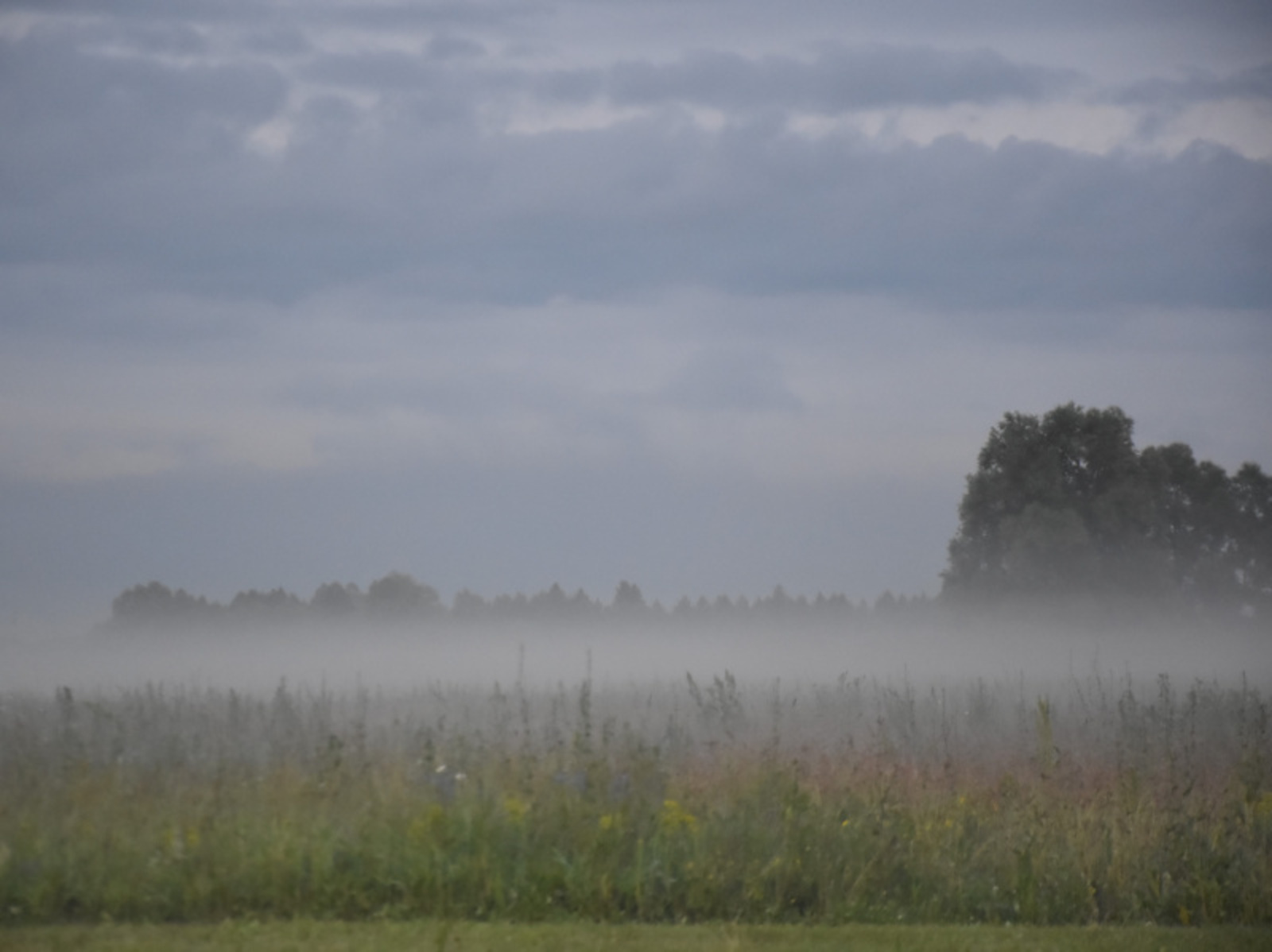 Фото Елены Колоколовой.