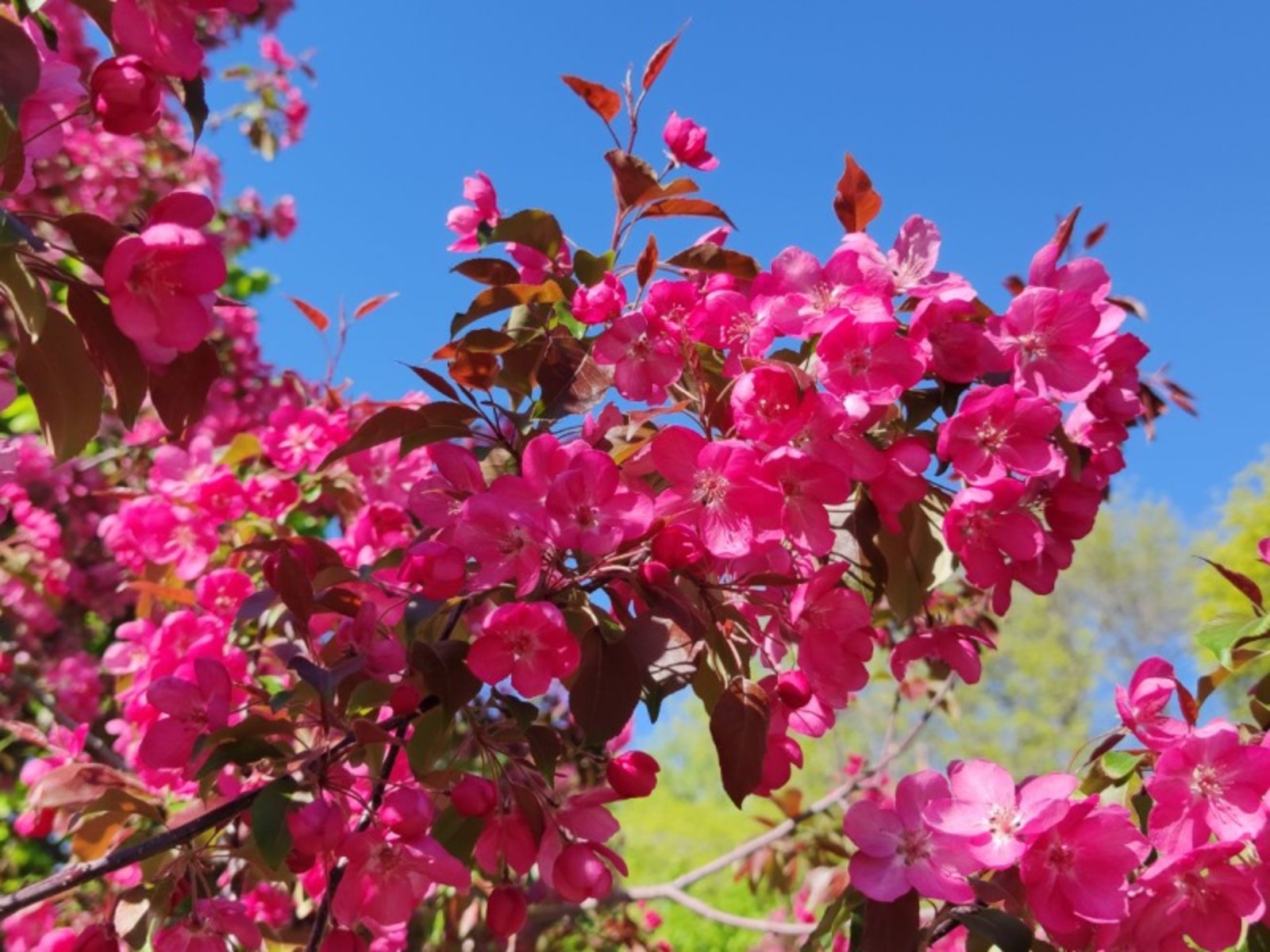 Дарьи Святохиной.