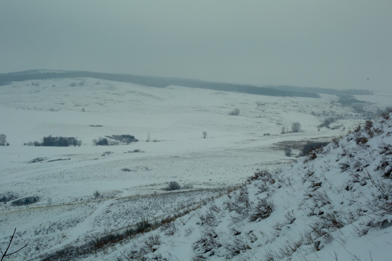 Фото Андрея Старостина (архив).
