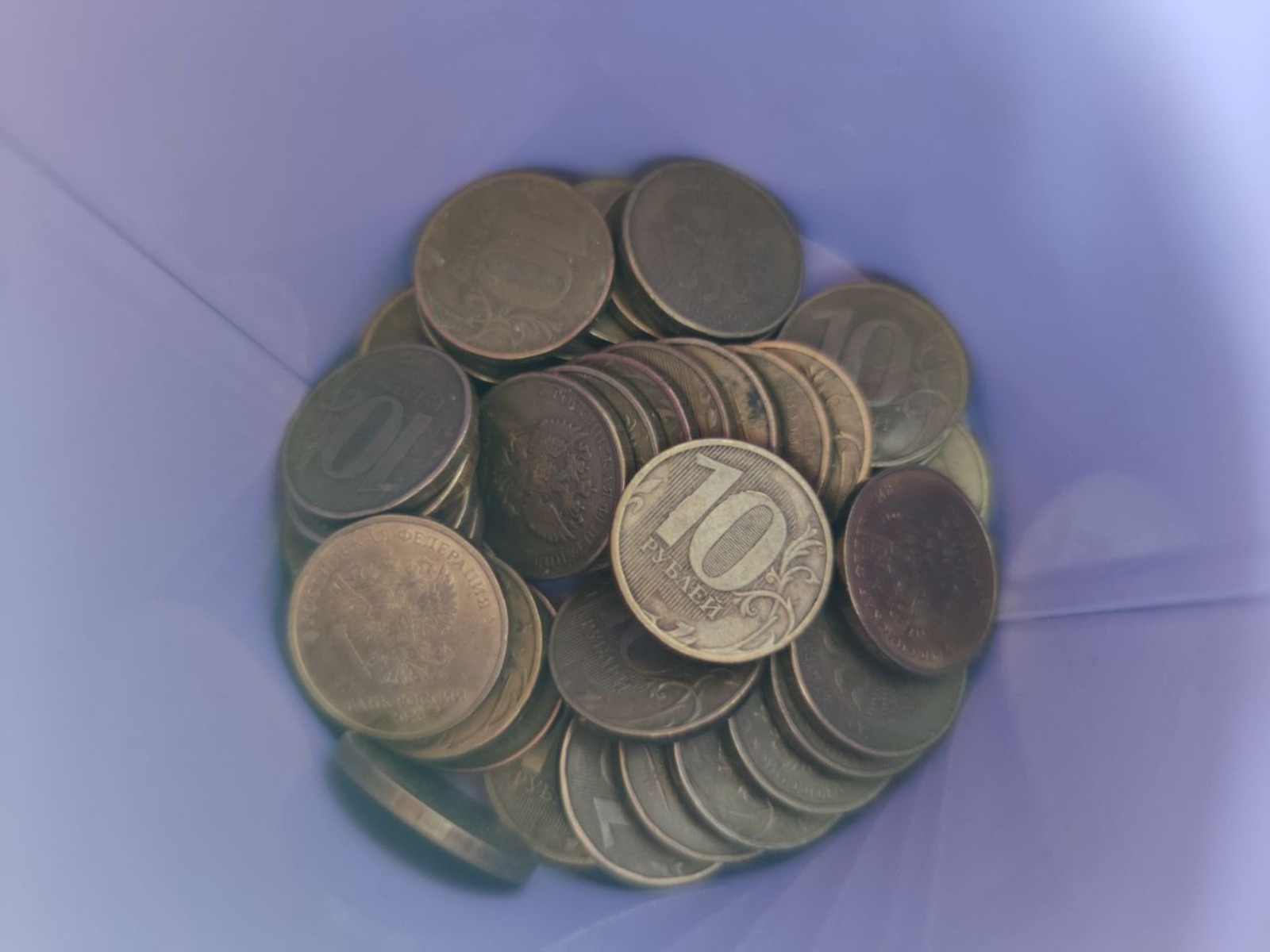 Дарьи Святохиной.