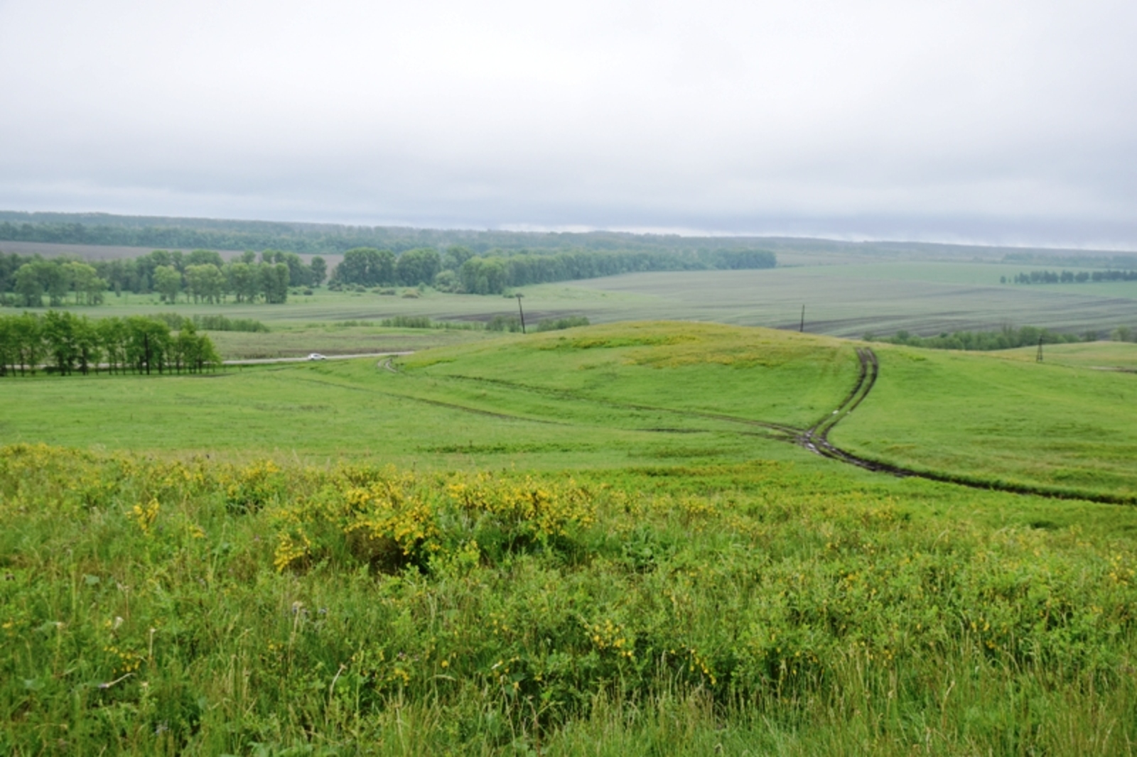 Фото Елены Колоколовой.