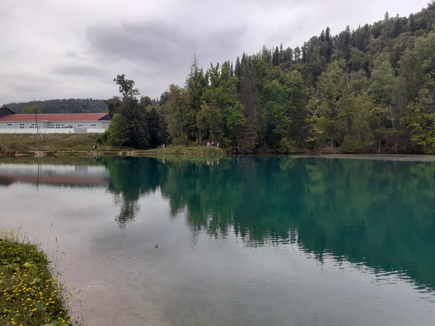 Владимира Шакиева.