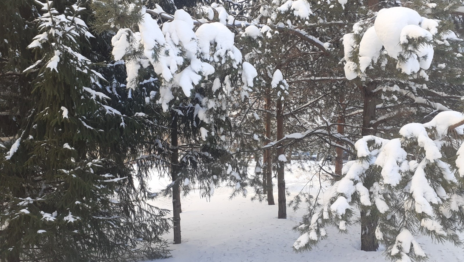 Владимира Шакиева.  «Общественная электронная газета».