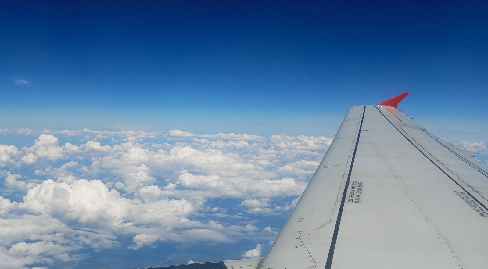 Евгении Сюткиной. «Общественная электронная газета».