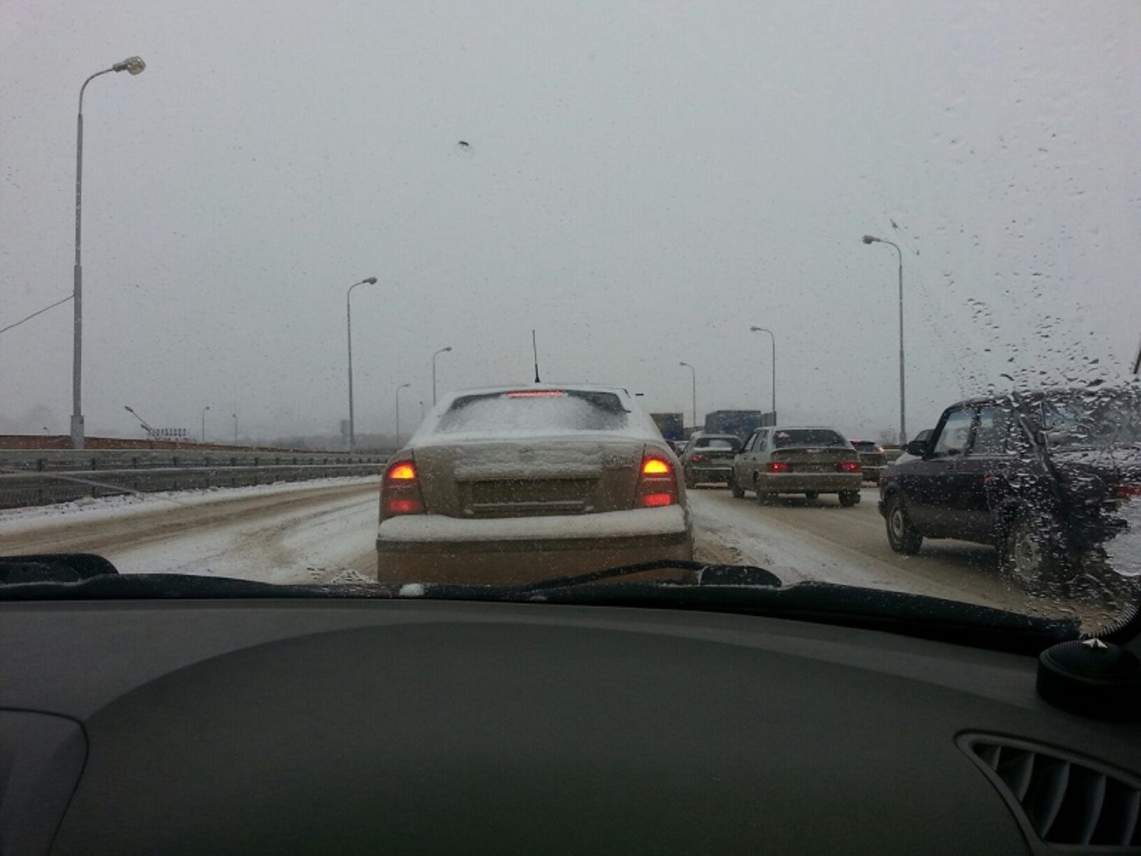 Фото автора.