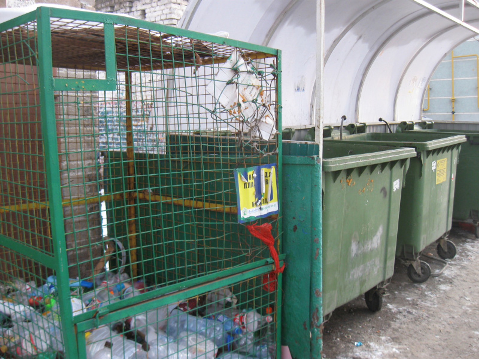 Фото автора.