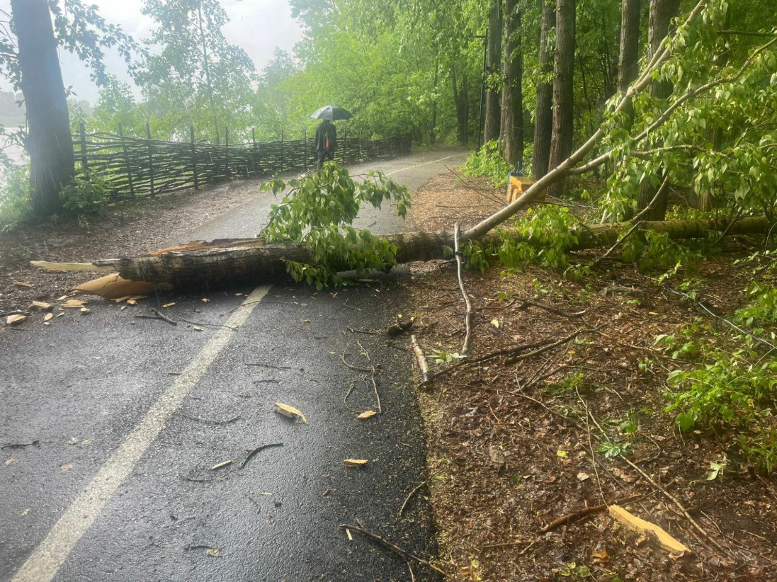 предоставлено УГЗ Уфы.