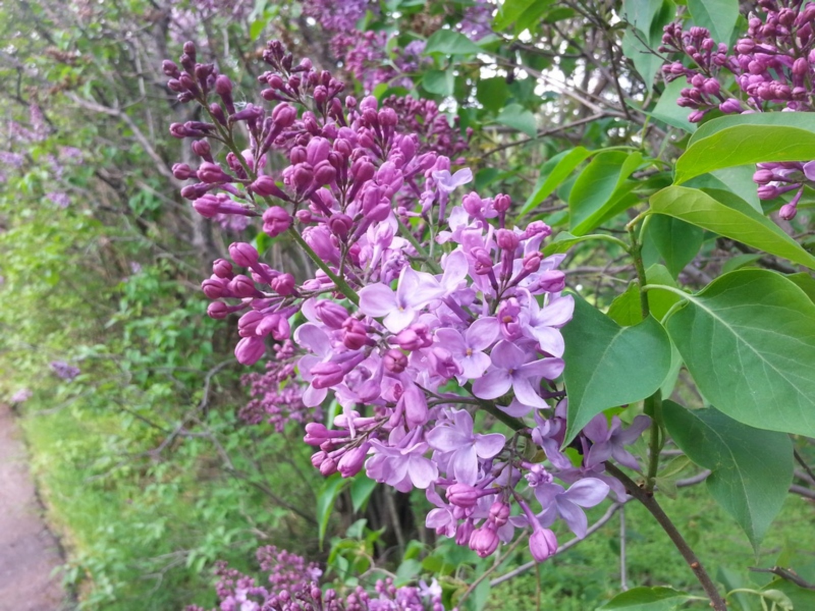 Фото автора.