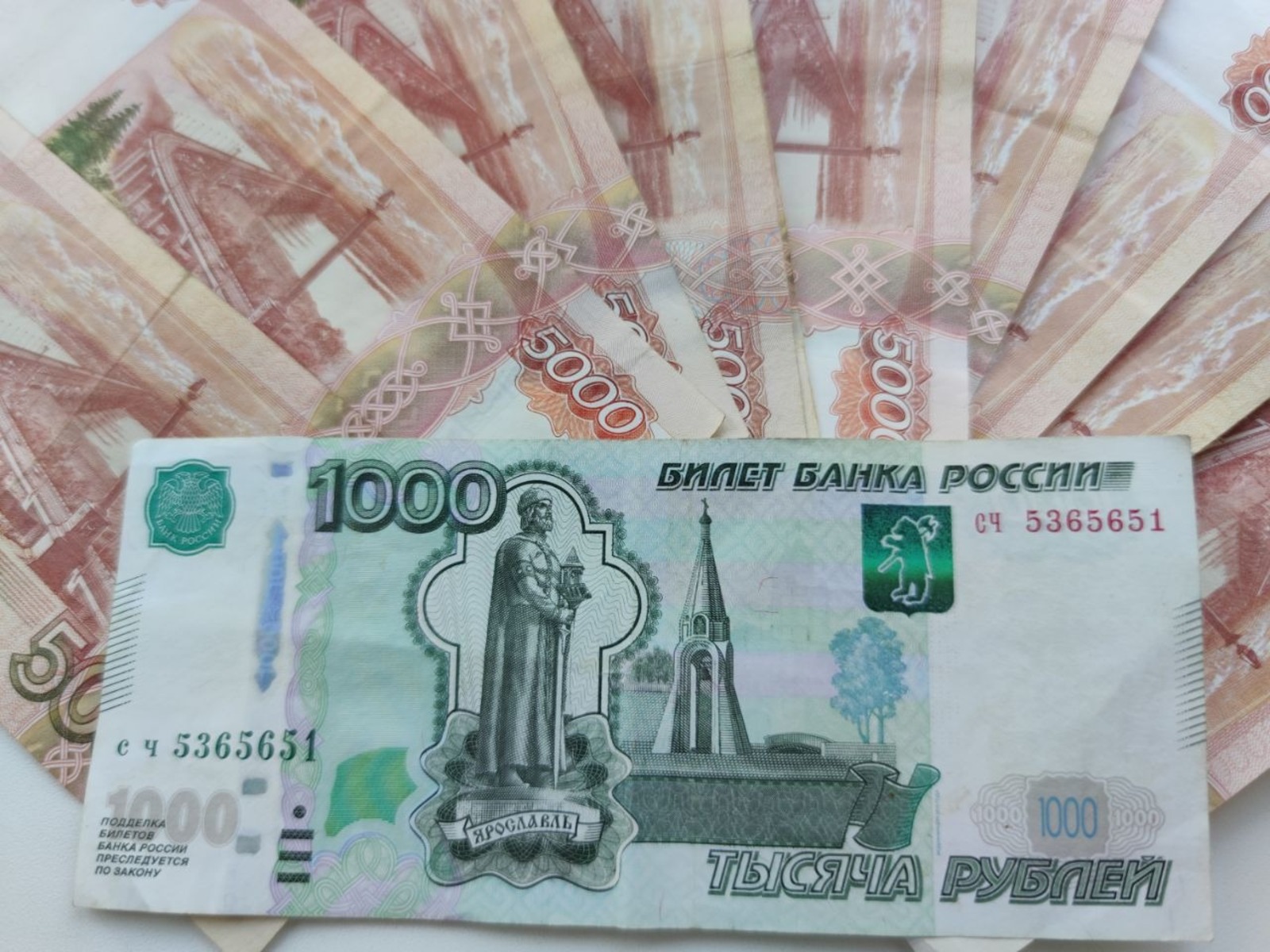 Дарьи Святохиной.