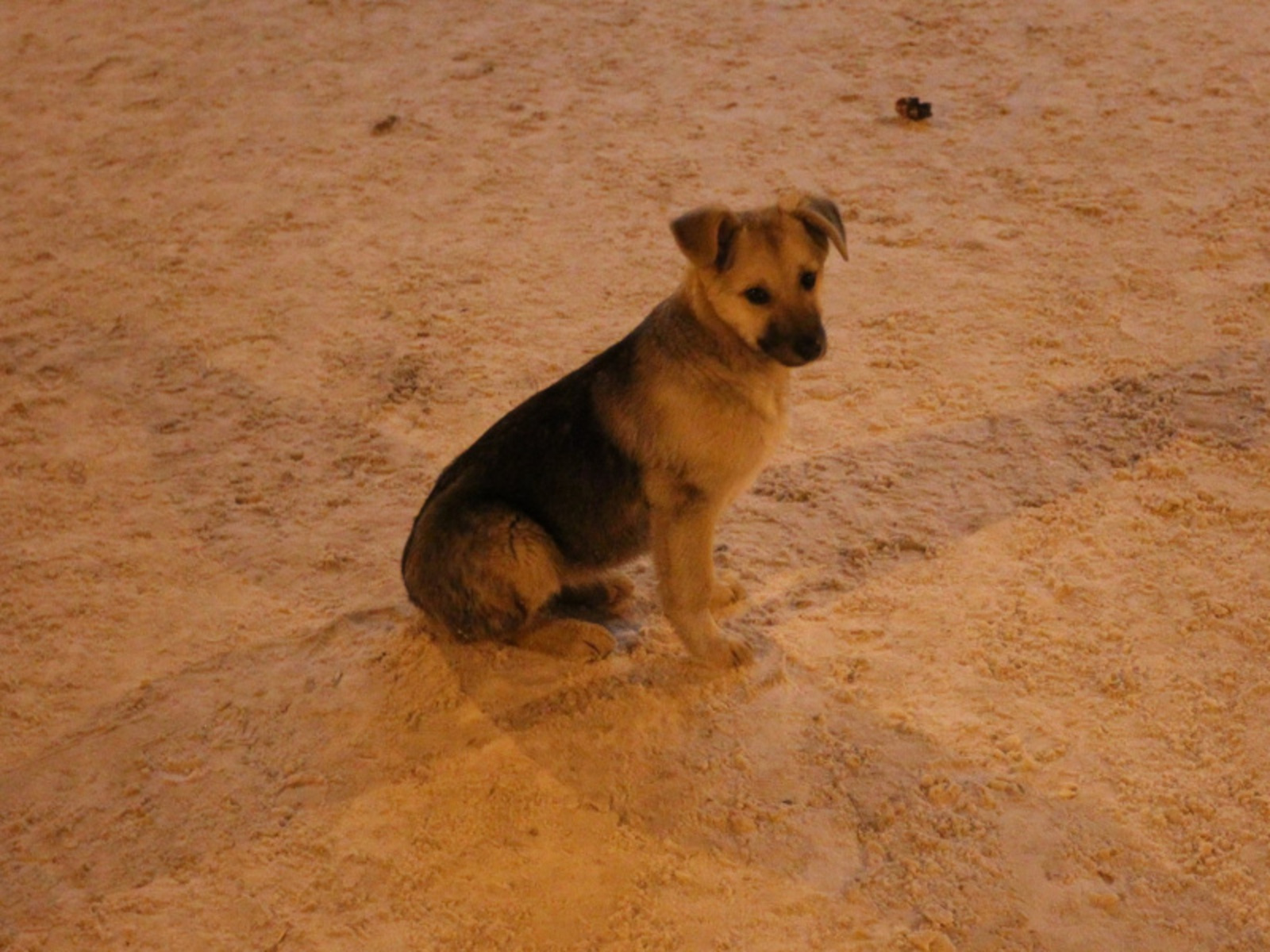 Фото Олега Яровикова.