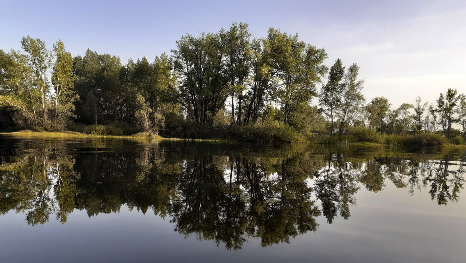 Владимира Шакиева.