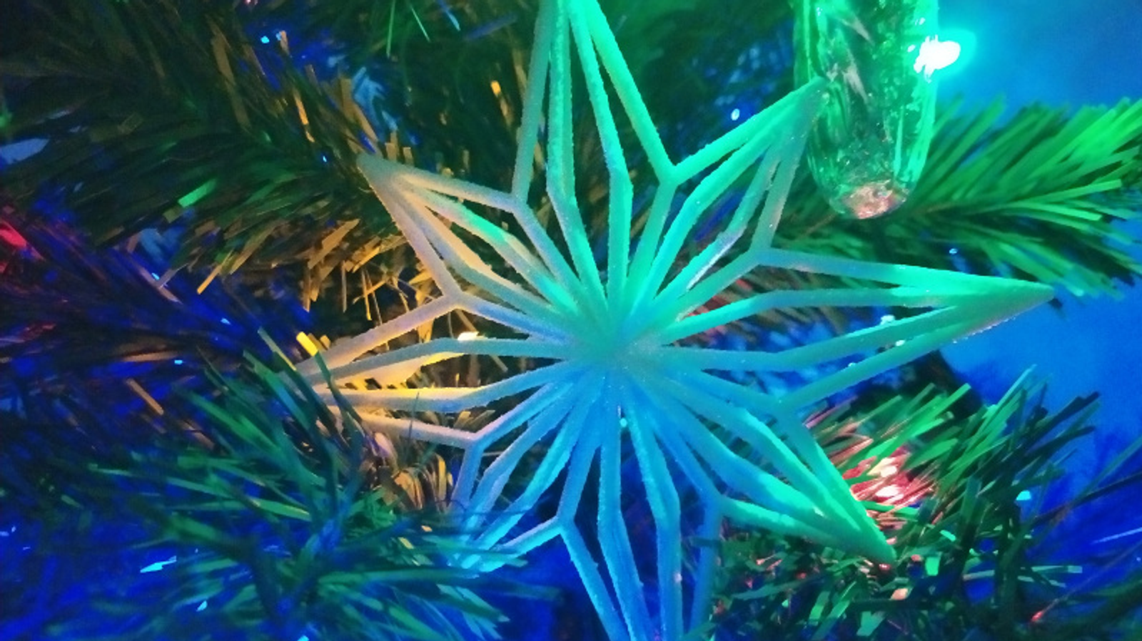 Фото Васили Саитовой.