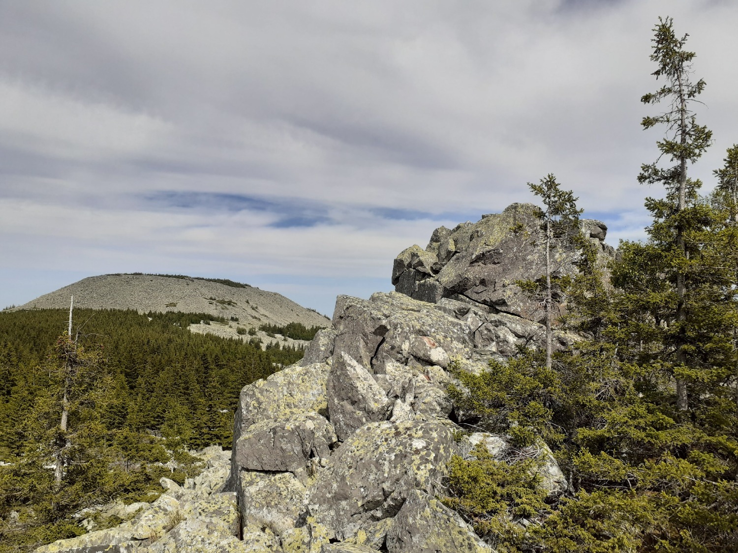 Владимира Шакиева.