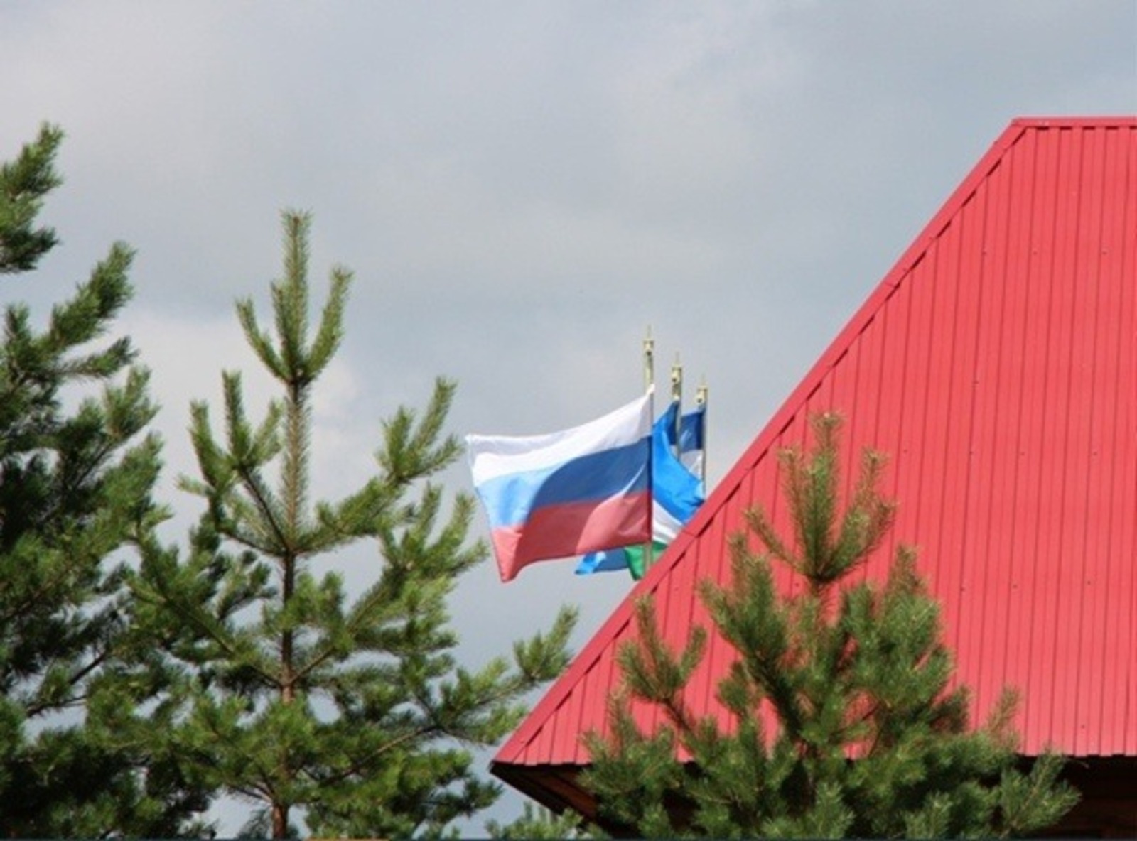 Евгении Сюткиной.