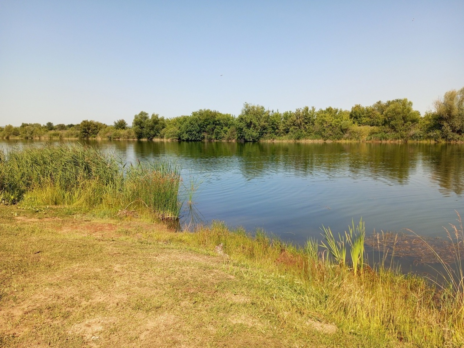 Евгении Сюткиной.