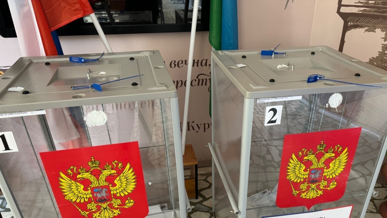 Елены Колоколовой.