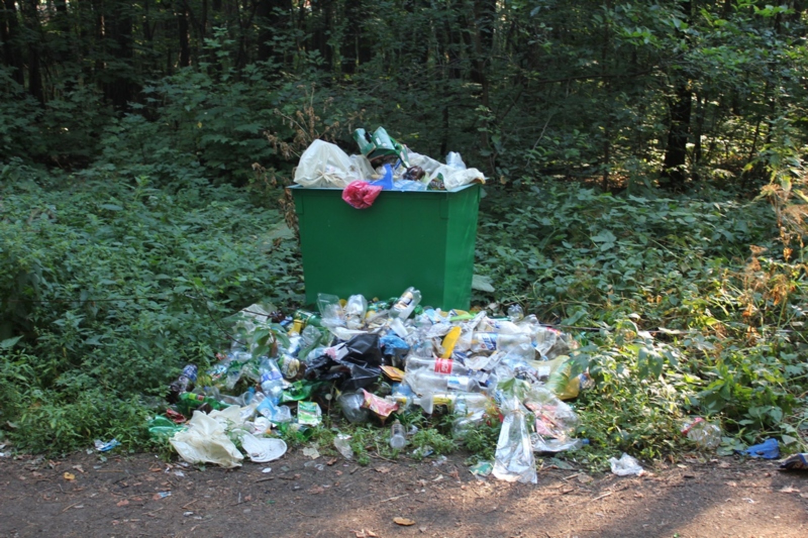 Фото автора.