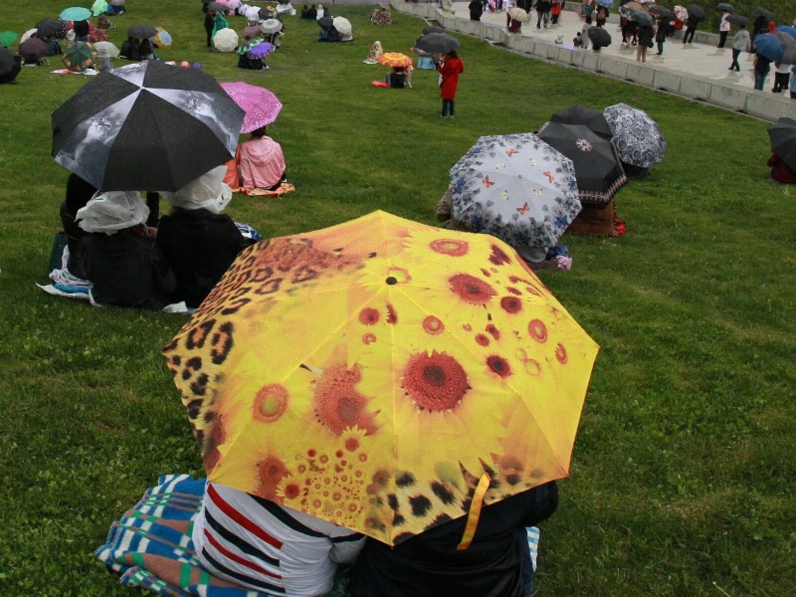 Фото Олега Яровикова.