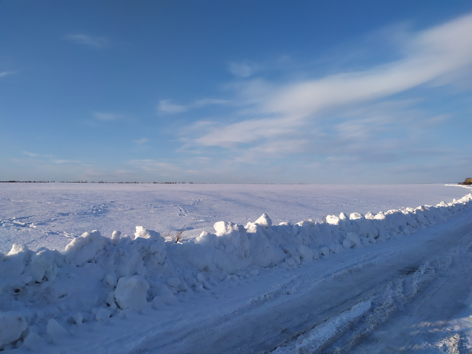 Васили Саитовой.