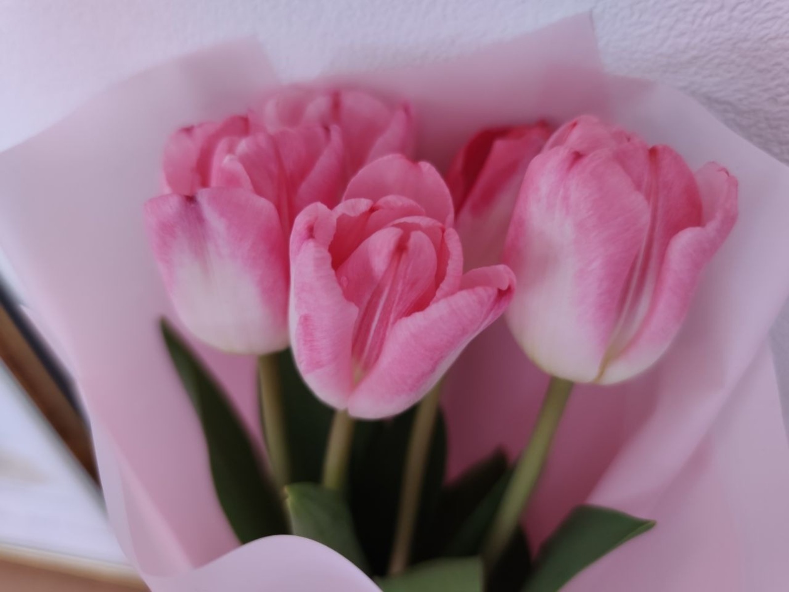 Дарьи Святохиной. «Общественная электронная газета».