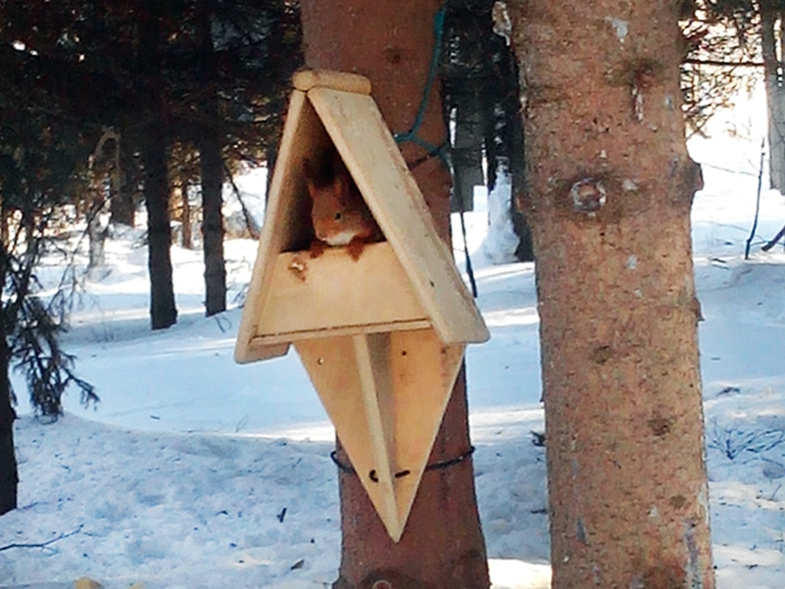 Фото автора.