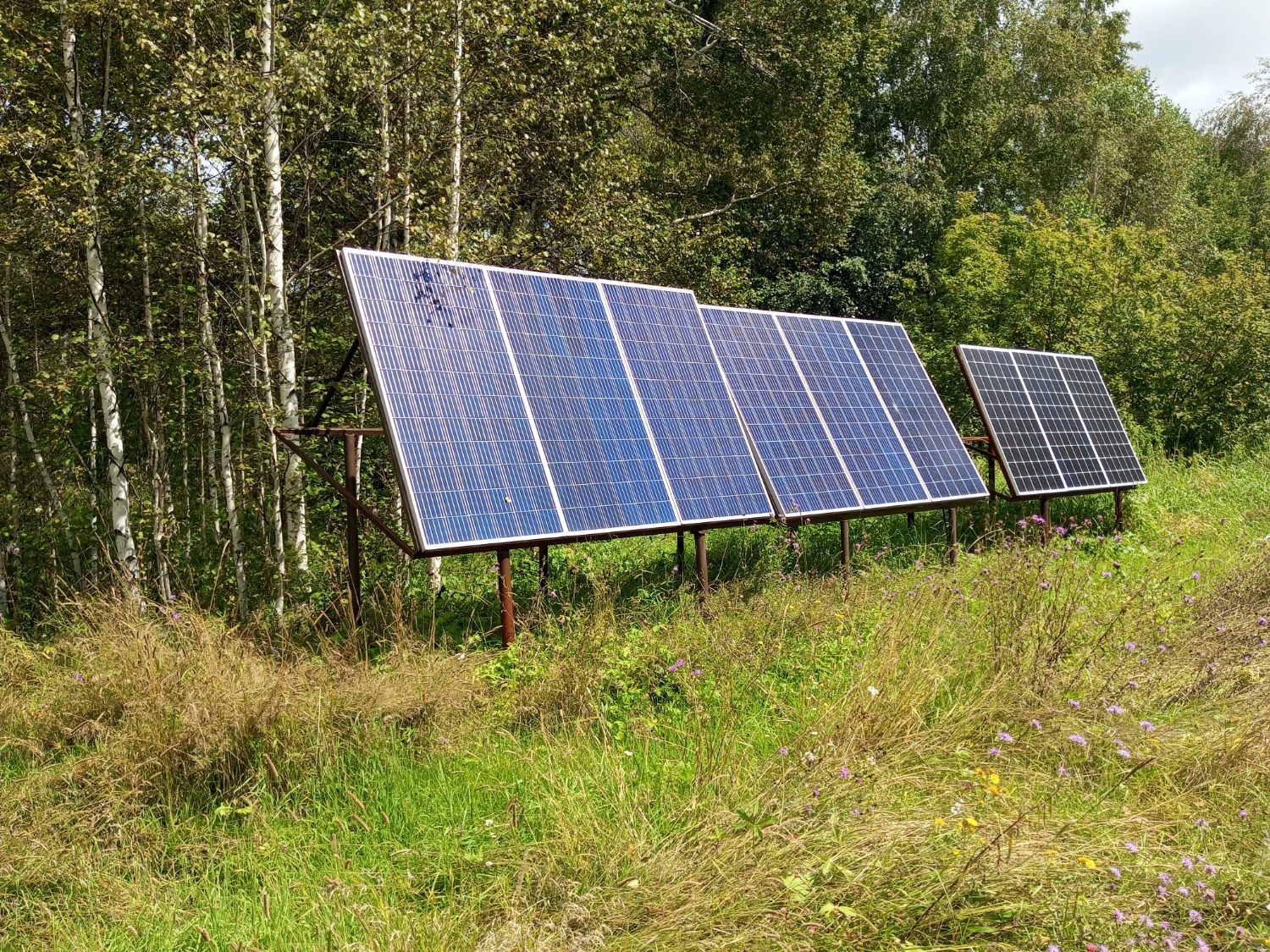 Евгении Сюткиной.