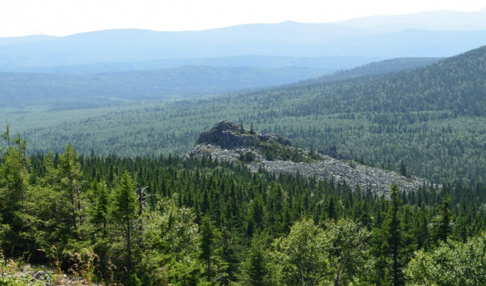 Фото автора.