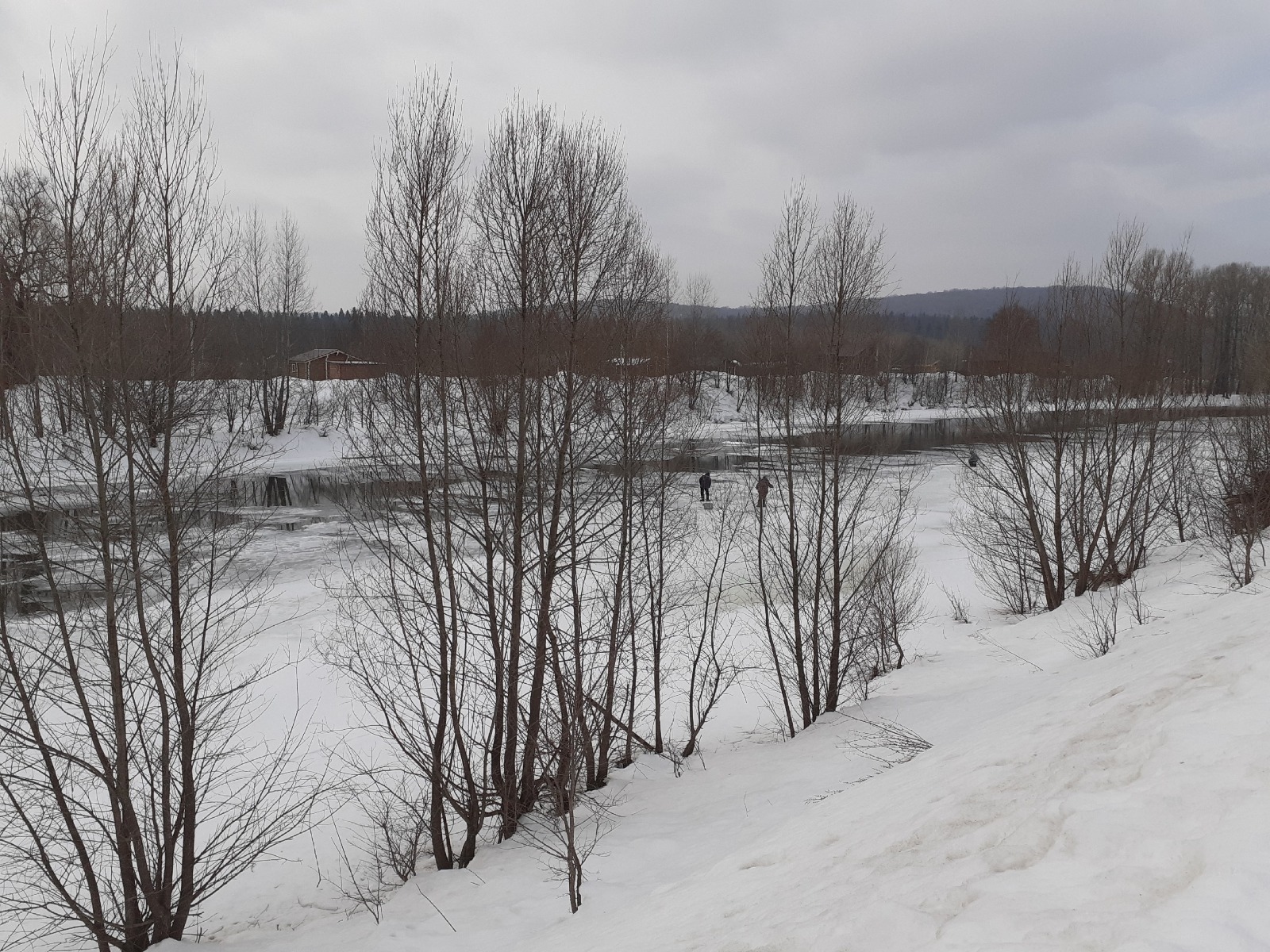 Владимира Шакиева. «Общественная электронная газета».
