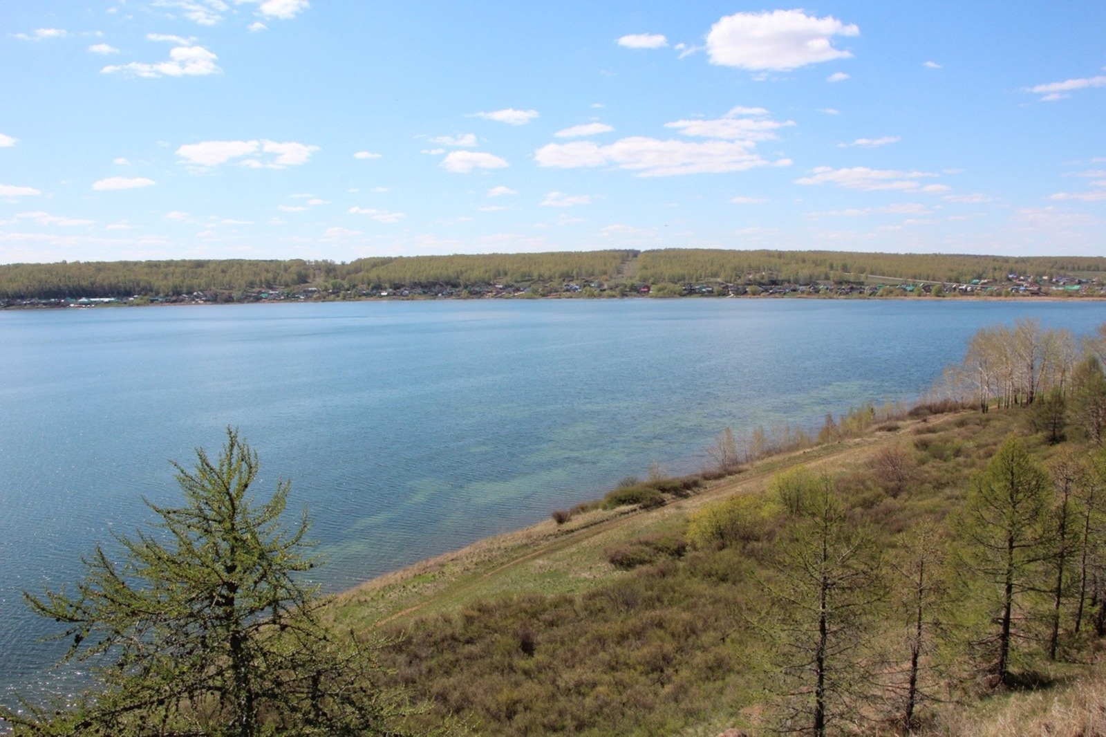 Евгении Сюткиной.